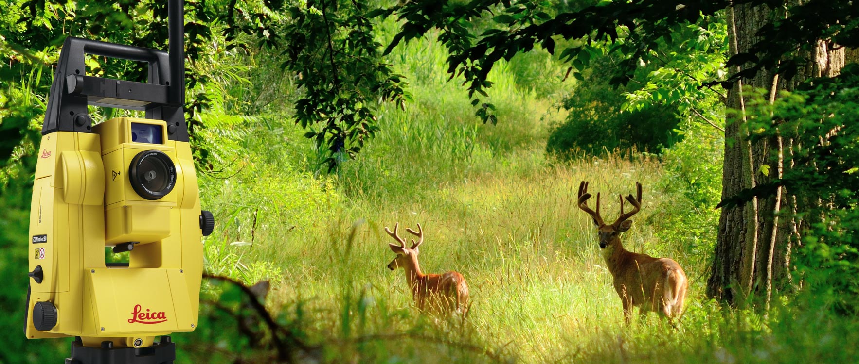 Solutions Leica Geosystems pour l'exploitation forestière - Protection de la Faune